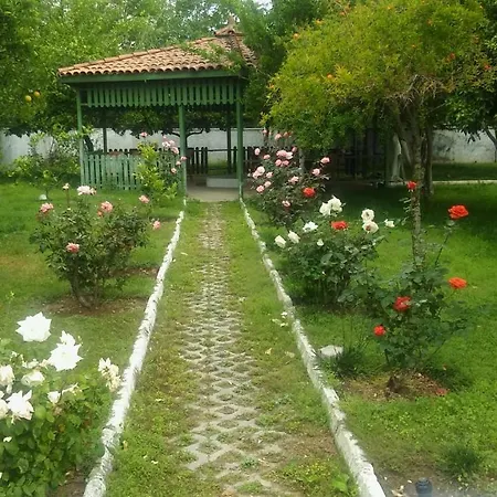 Ales Park Hotel